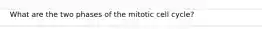 What are the two phases of the mitotic cell cycle?