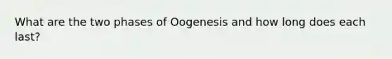 What are the two phases of Oogenesis and how long does each last?