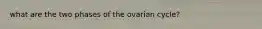 what are the two phases of the ovarian cycle?