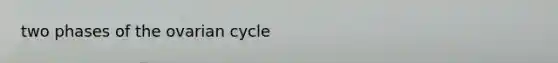 two phases of the ovarian cycle