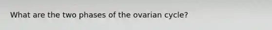 What are the two phases of the ovarian cycle?