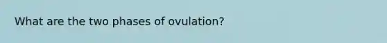 What are the two phases of ovulation?