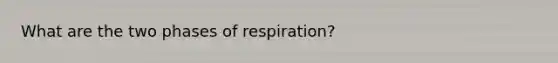 What are the two phases of respiration?