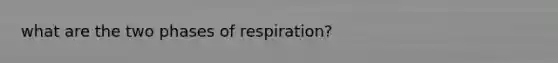 what are the two phases of respiration?