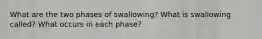 What are the two phases of swallowing? What is swallowing called? What occurs in each phase?