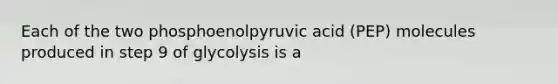 Each of the two phosphoenolpyruvic acid (PEP) molecules produced in step 9 of glycolysis is a