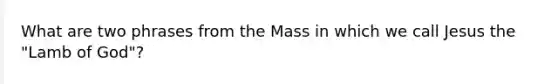 What are two phrases from the Mass in which we call Jesus the "Lamb of God"?