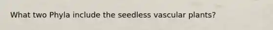 What two Phyla include the seedless vascular plants?