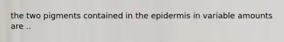 the two pigments contained in the epidermis in variable amounts are ..