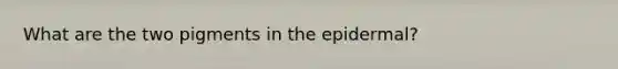 What are the two pigments in the epidermal?