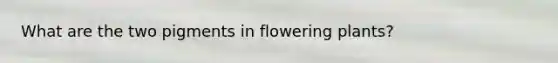 What are the two pigments in flowering plants?