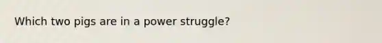 Which two pigs are in a power struggle?