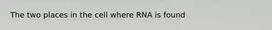 The two places in the cell where RNA is found