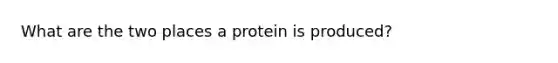 What are the two places a protein is produced?