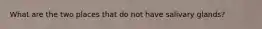 What are the two places that do not have salivary glands?