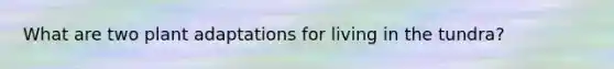 What are two plant adaptations for living in the tundra?