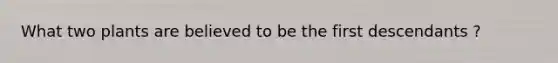 What two plants are believed to be the first descendants ?