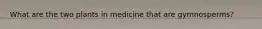 What are the two plants in medicine that are gymnosperms?