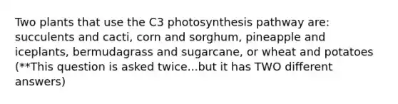 Two plants that use the C3 photosynthesis pathway are: succulents and cacti, corn and sorghum, pineapple and iceplants, bermudagrass and sugarcane, or wheat and potatoes (**This question is asked twice...but it has TWO different answers)