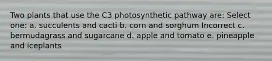 Two plants that use the C3 photosynthetic pathway are: Select one: a. succulents and cacti b. corn and sorghum Incorrect c. bermudagrass and sugarcane d. apple and tomato e. pineapple and iceplants