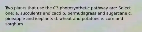 Two plants that use the C3 photosynthetic pathway are: Select one: a. succulents and cacti b. bermudagrass and sugarcane c. pineapple and iceplants d. wheat and potatoes e. corn and sorghum