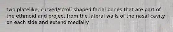 two platelike, curved/scroll-shaped facial bones that are part of the ethmoid and project from the lateral walls of the nasal cavity on each side and extend medially