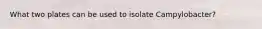 What two plates can be used to isolate Campylobacter?
