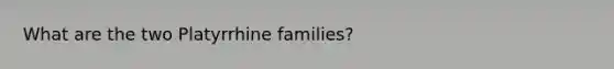 What are the two Platyrrhine families?