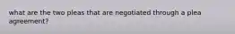 what are the two pleas that are negotiated through a plea agreement?