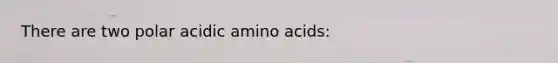 There are two polar acidic <a href='https://www.questionai.com/knowledge/k9gb720LCl-amino-acids' class='anchor-knowledge'>amino acids</a>: