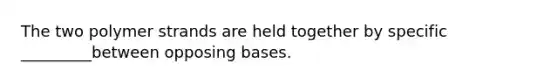 The two polymer strands are held together by specific _________between opposing bases.