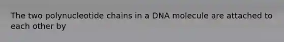 The two polynucleotide chains in a DNA molecule are attached to each other by