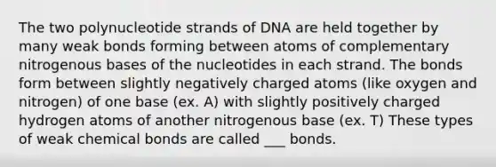 The two polynucleotide strands of DNA are held together by many weak bonds forming between atoms of complementary nitrogenous bases of the nucleotides in each strand. The bonds form between slightly negatively charged atoms (like oxygen and nitrogen) of one base (ex. A) with slightly positively charged hydrogen atoms of another nitrogenous base (ex. T) These types of weak chemical bonds are called ___ bonds.