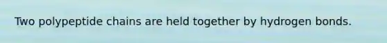 Two polypeptide chains are held together by hydrogen bonds.