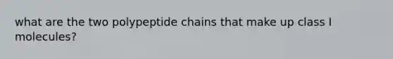 what are the two polypeptide chains that make up class I molecules?