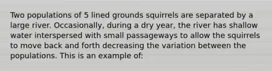 Two populations of 5 lined grounds squirrels are separated by a large river. Occasionally, during a dry year, the river has shallow water interspersed with small passageways to allow the squirrels to move back and forth decreasing the variation between the populations. This is an example of: