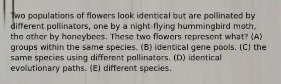 Two populations of flowers look identical but are pollinated by different pollinators, one by a night-flying hummingbird moth, the other by honeybees. These two flowers represent what? (A) groups within the same species. (B) identical gene pools. (C) the same species using different pollinators. (D) identical evolutionary paths. (E) different species.