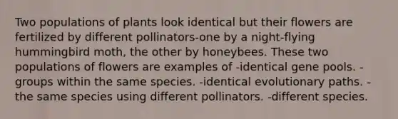 Two populations of plants look identical but their flowers are fertilized by different pollinators-one by a night-flying hummingbird moth, the other by honeybees. These two populations of flowers are examples of -identical gene pools. -groups within the same species. -identical evolutionary paths. -the same species using different pollinators. -different species.