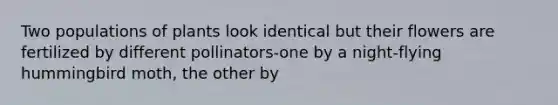 Two populations of plants look identical but their flowers are fertilized by different pollinators-one by a night-flying hummingbird moth, the other by
