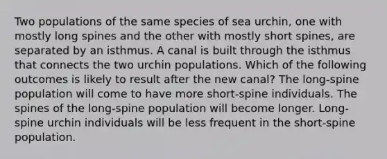 Two populations of the same species of sea urchin, one with mostly long spines and the other with mostly short spines, are separated by an isthmus. A canal is built through the isthmus that connects the two urchin populations. Which of the following outcomes is likely to result after the new canal? The long-spine population will come to have more short-spine individuals. The spines of the long-spine population will become longer. Long-spine urchin individuals will be less frequent in the short-spine population.