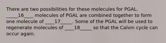 There are two possibilities for these molecules for PGAL. _____16____ molecules of PGAL are combined together to form one molecule of ____17_____. Some of the PGAL will be used to regenerate molecules of ____18_____ so that the Calvin cycle can occur again.