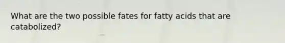 What are the two possible fates for fatty acids that are catabolized?