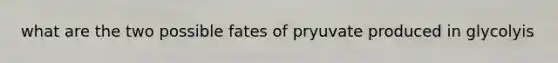 what are the two possible fates of pryuvate produced in glycolyis