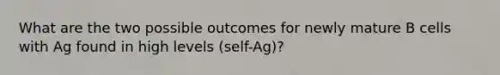 What are the two possible outcomes for newly mature B cells with Ag found in high levels (self-Ag)?