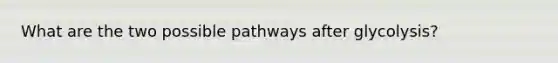 What are the two possible pathways after glycolysis?