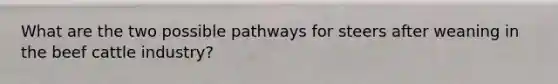 What are the two possible pathways for steers after weaning in the beef cattle industry?