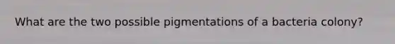 What are the two possible pigmentations of a bacteria colony?