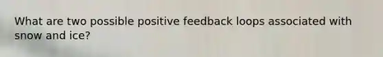 What are two possible positive feedback loops associated with snow and ice?