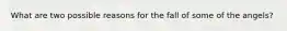 What are two possible reasons for the fall of some of the angels?