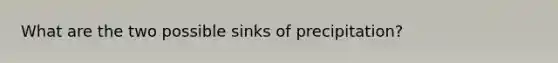 What are the two possible sinks of precipitation?